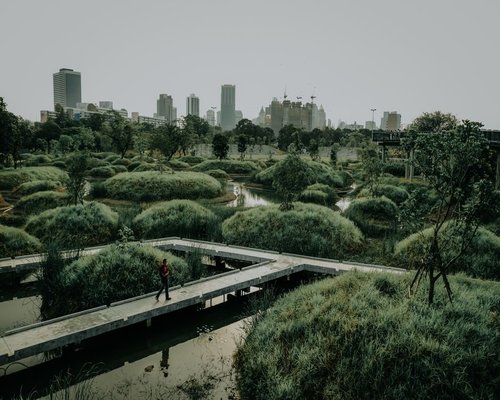 Calm walk through a city park in Bangkok
